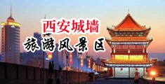 欧美插奶妞中国陕西-西安城墙旅游风景区