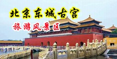 熟女多毛模特灌肠中国北京-东城古宫旅游风景区